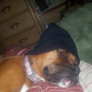 Meet your Posher, Brad